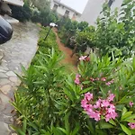 Center Apartament *