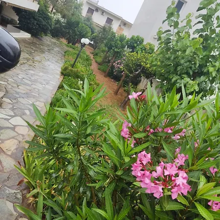 Center Apartamento *